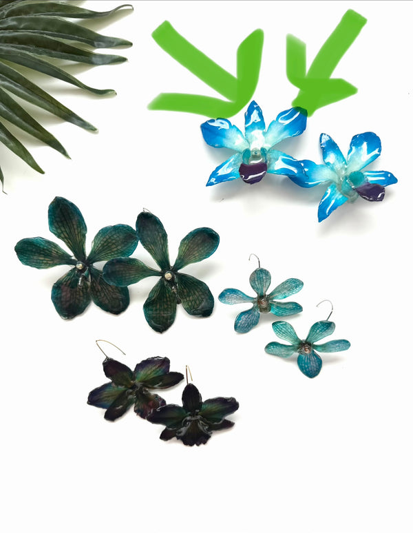bloom earrings - blue dendrobium