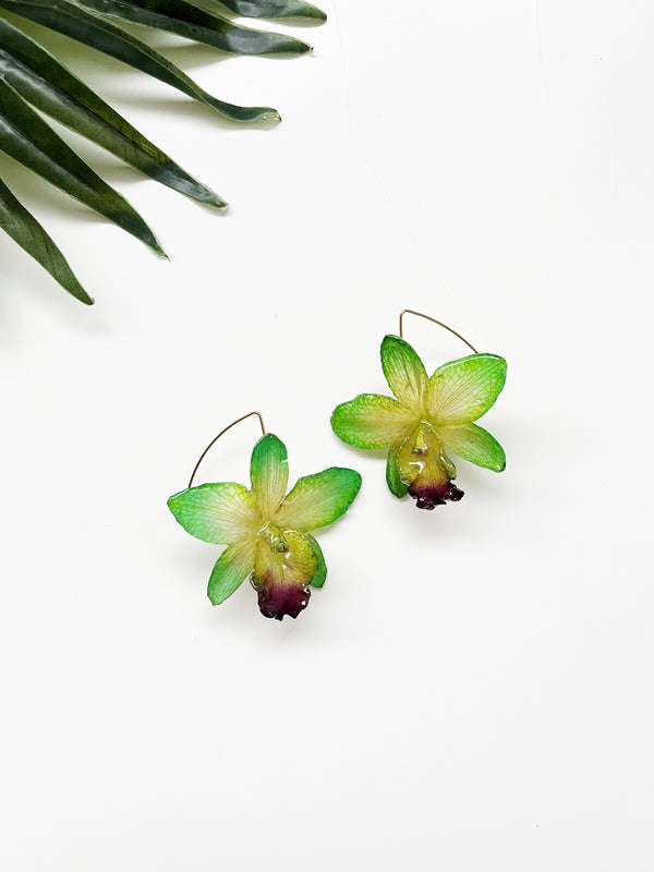 bloom earrings - green cattleya sakura