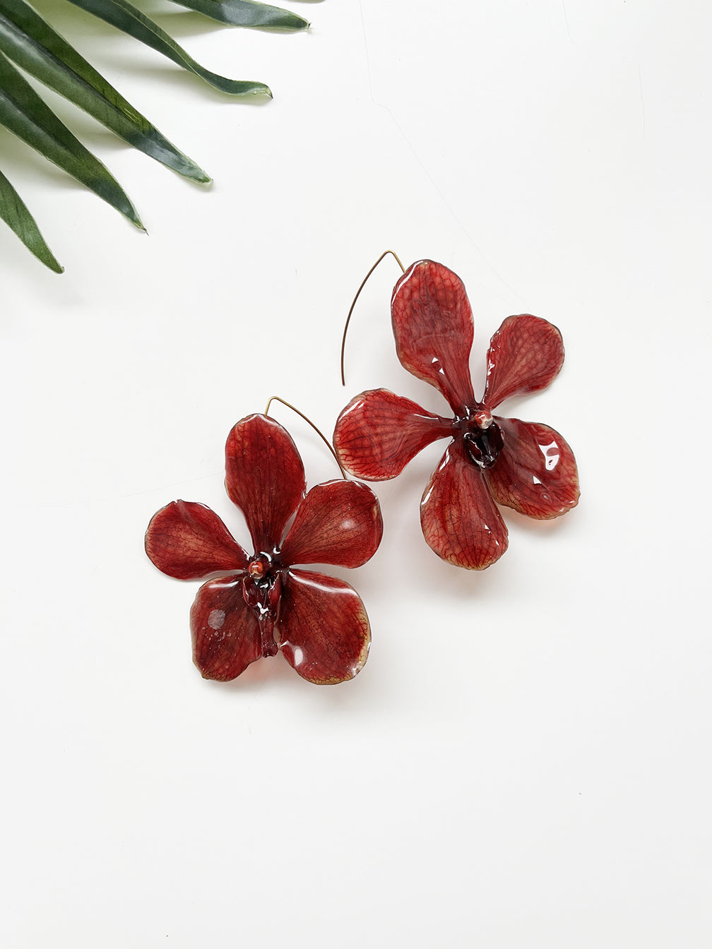 bloom earrings - red mokara orchid