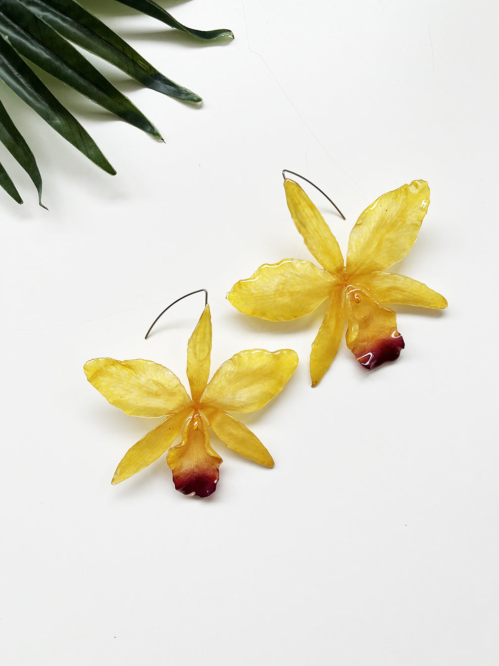 bloom earrings - yellow cattleya orchid