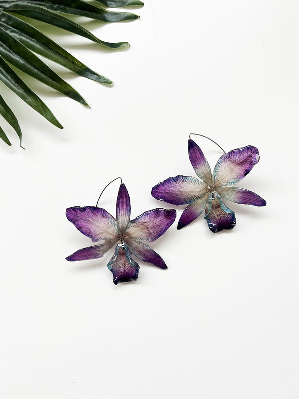 bloom earrings - purple and blue cattleya
