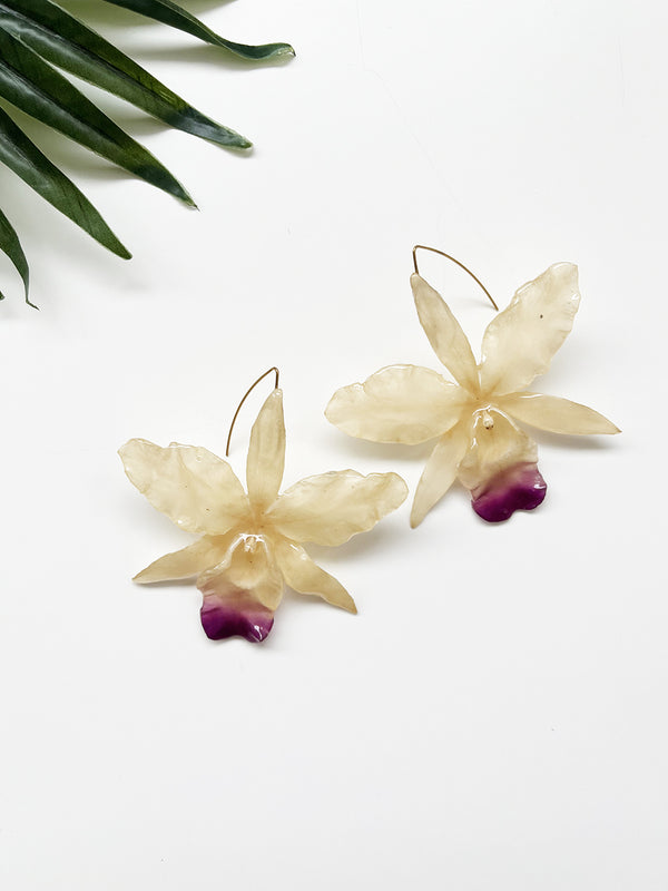 bloom earrings - cream cattleya