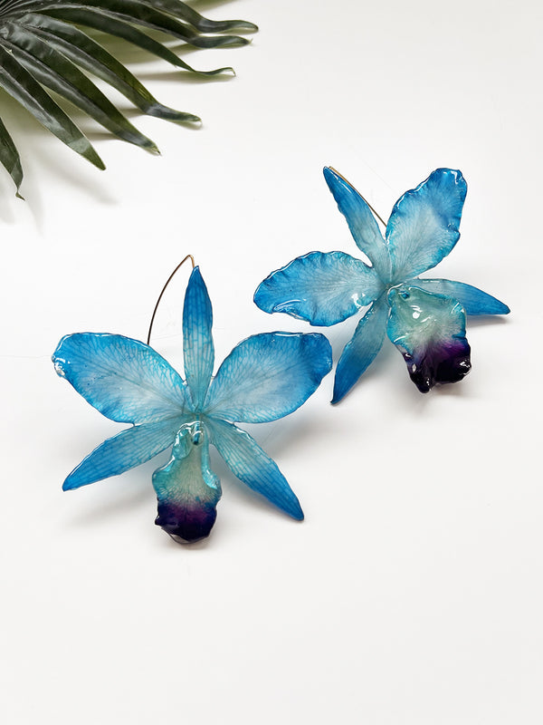 bloom earrings - blue cattleya orchid