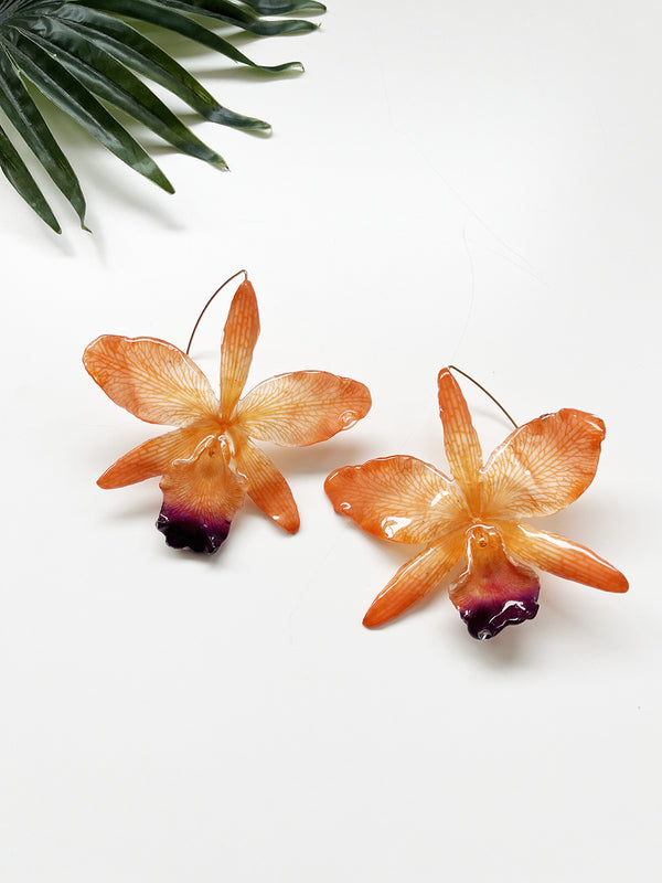 bloom earrings - orange cattleya orchid