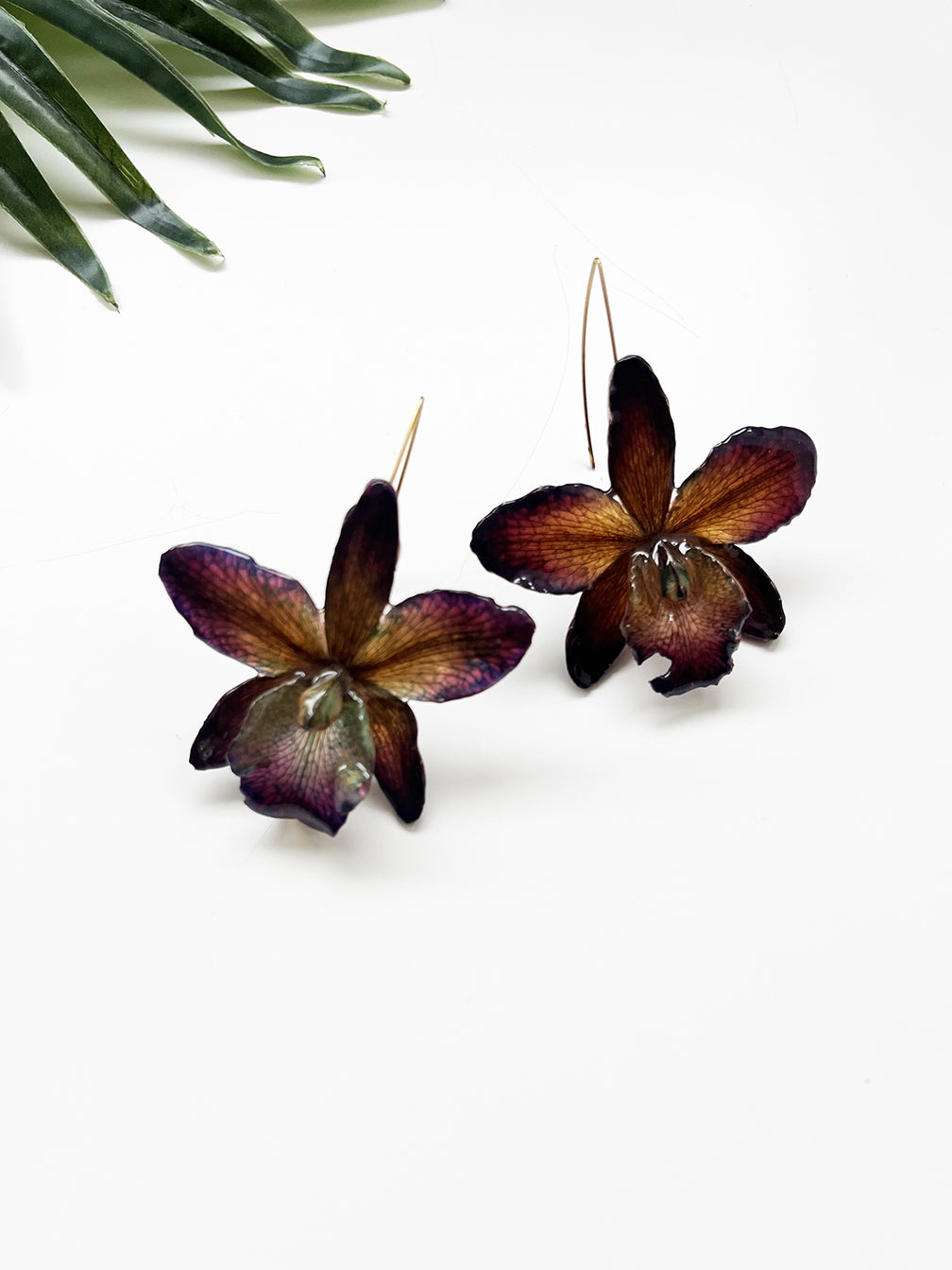 bloom earrings - dark purple cattleya