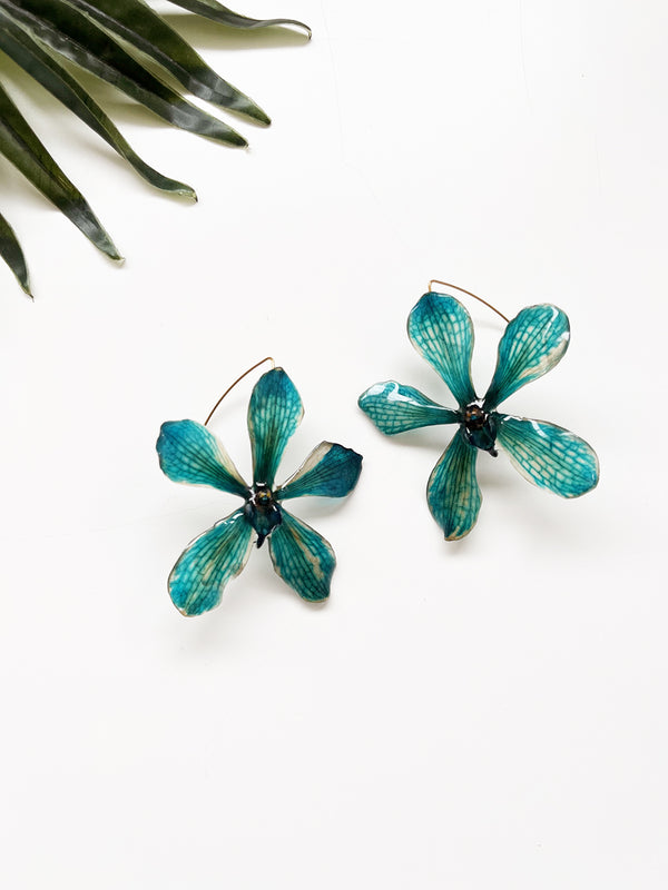 bloom earrings - blue mokara orchid I