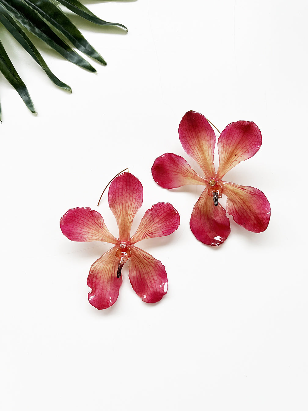 bloom earrings - pink mokara orchid