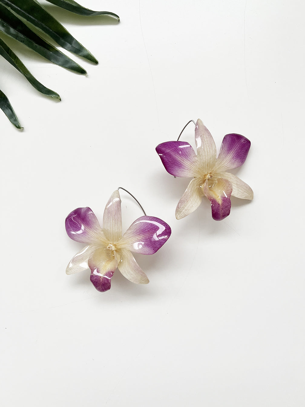bloom earrings - purple and cream dendrobium III