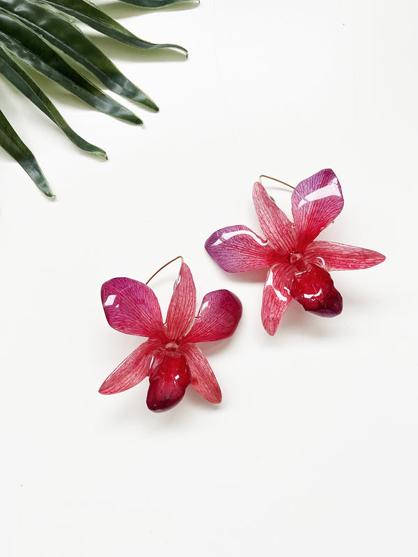 bloom earrings - pink and purple dendrobium
